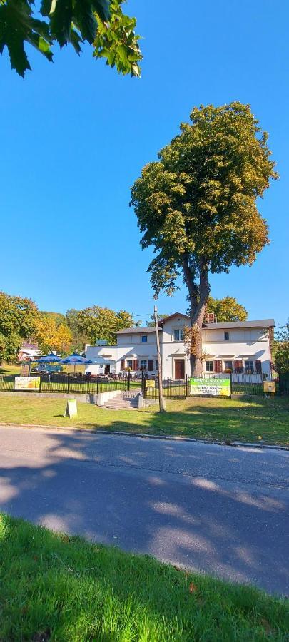 Pod Kasztanem Apartment Lubin  Bagian luar foto